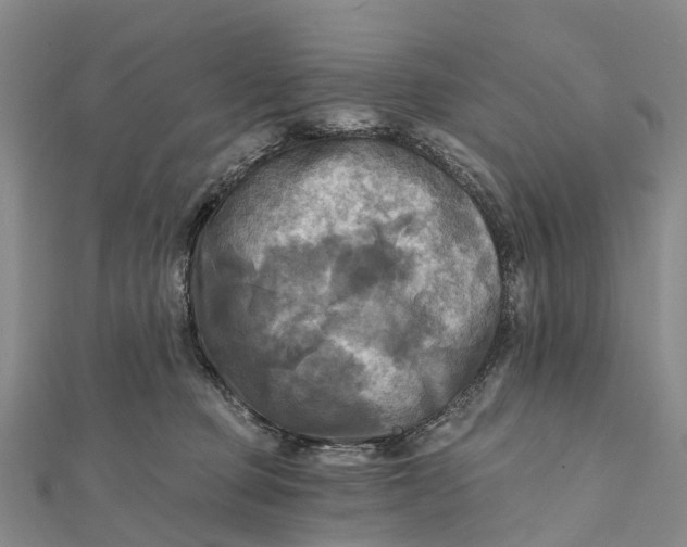 X0000112100373200908251155