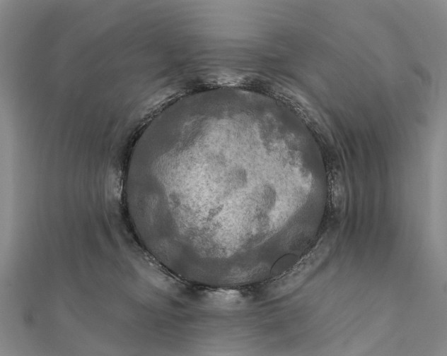 X0000112100374200908251155