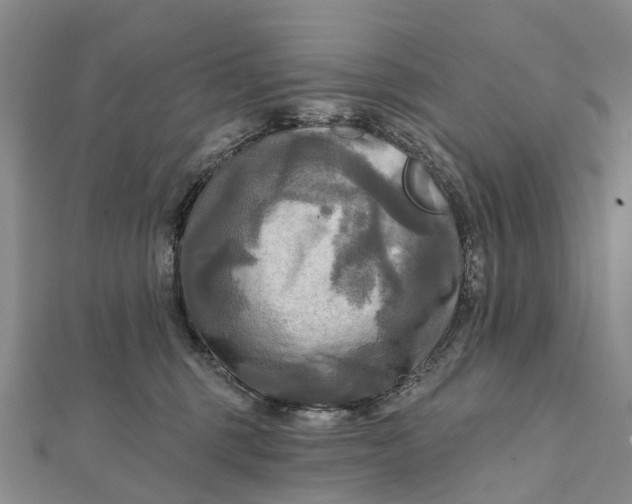 X0000112100375200908251155