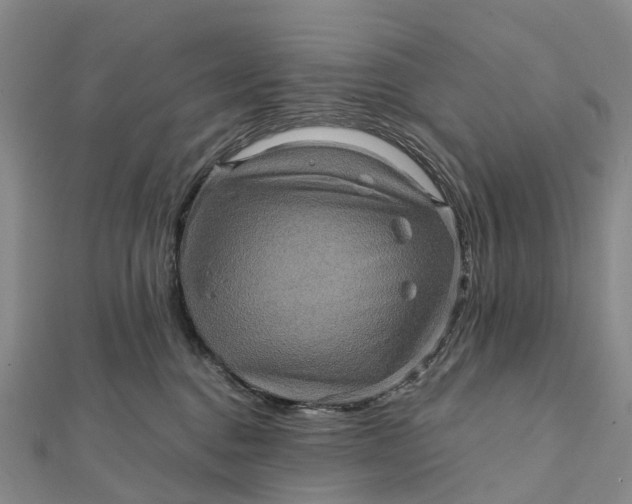 X0000112100376200908251155