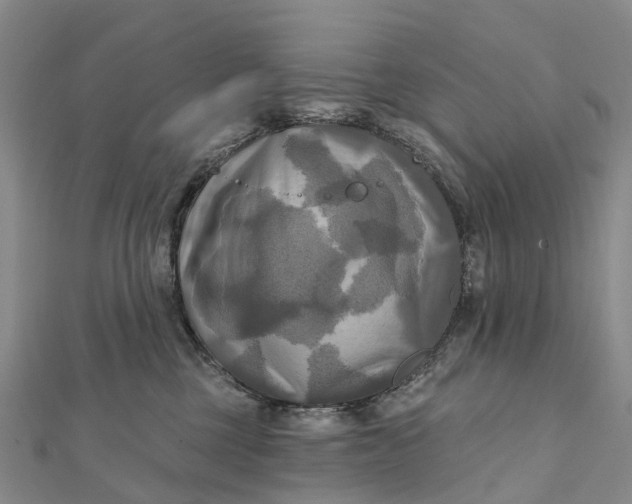 X0000112100377200908251155