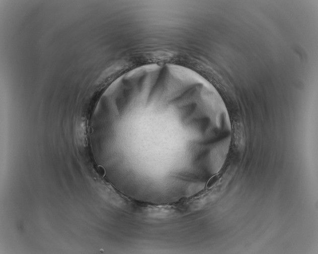 X0000112100378200908251155