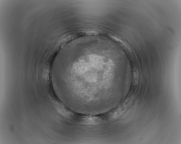 X0000112100379200908251155