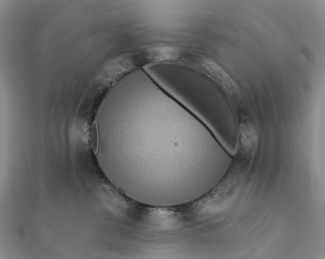 X0000112100380200908251155