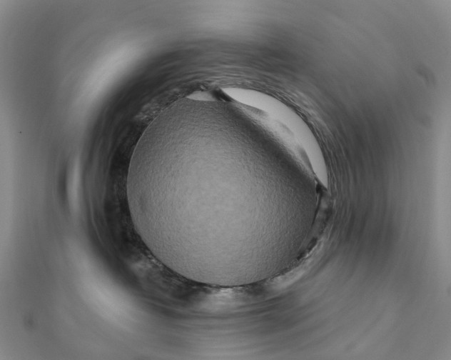 X0000112100382200908251155