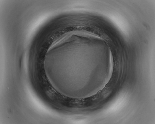 X0000112100383200908251155