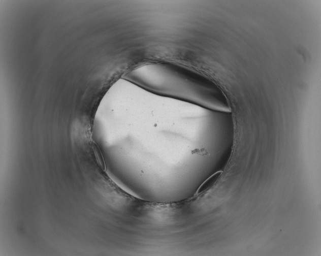 X0000112100384200908251155