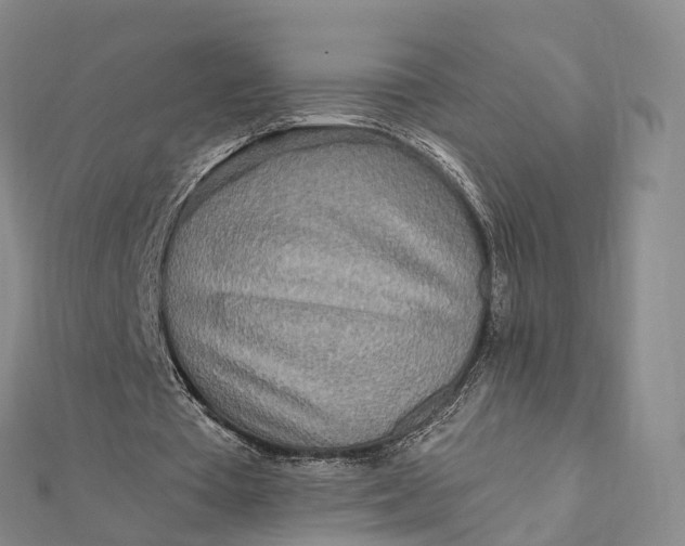 X0000112100385200908251154