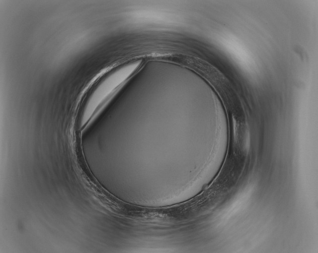 X0000112100387200908251154