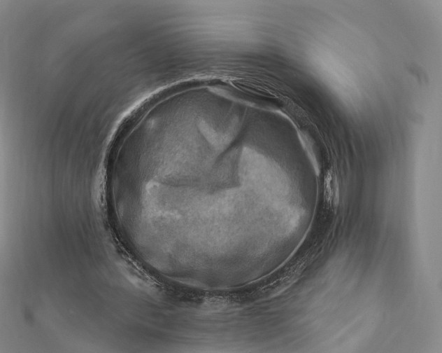 X0000112100388200908251154