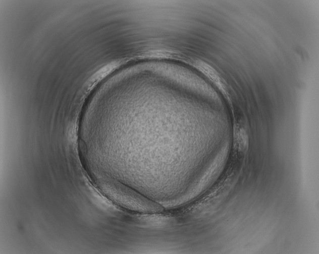 X0000112100389200908251154