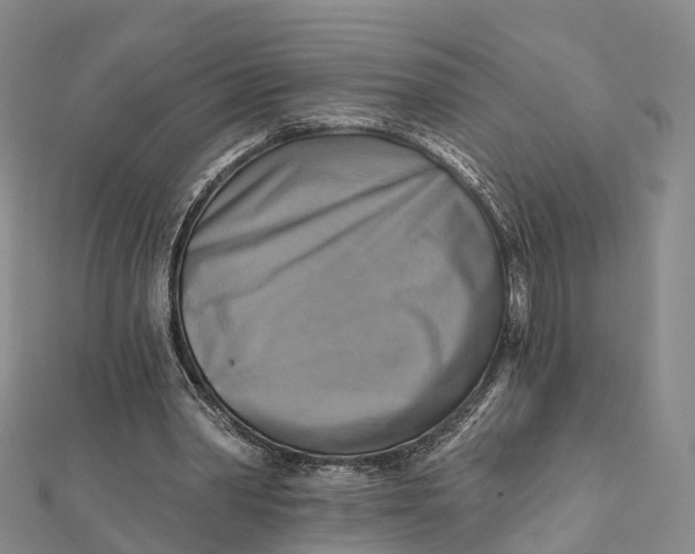 X0000112100390200908251154