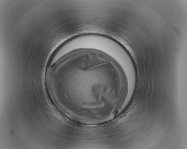 X0000112100391200908251154