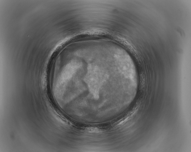 X0000112100392200908251154