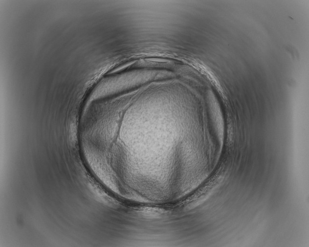 X0000112100393200908251154