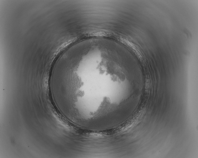 X0000112100394200908251154