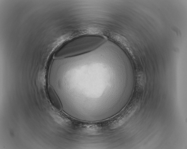 X0000112100395200908251154