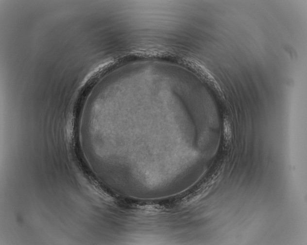 X0000112100396200908251154