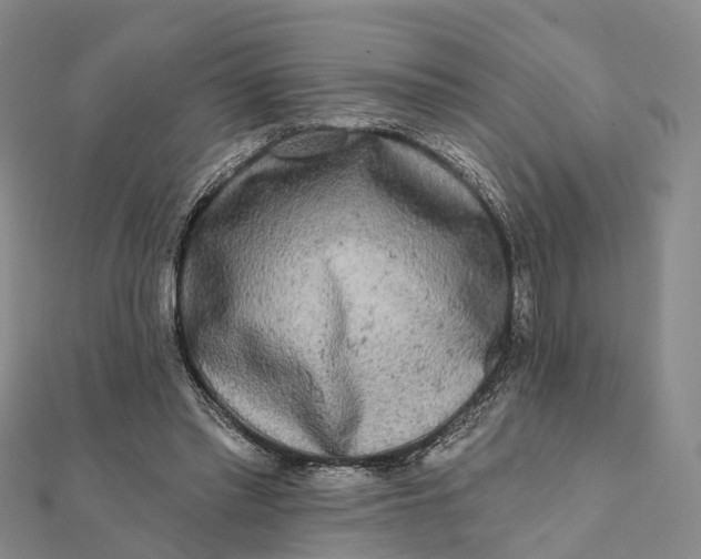 X0000112100397200908251154