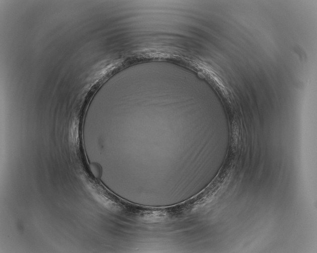 X0000112100398200908251154