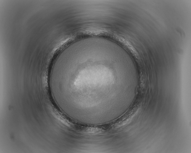 X0000112100399200908251154