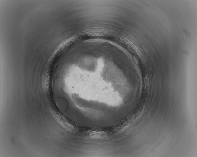 X0000112100400200908251154