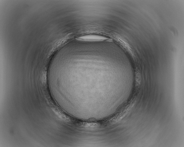 X0000112100401200908251154