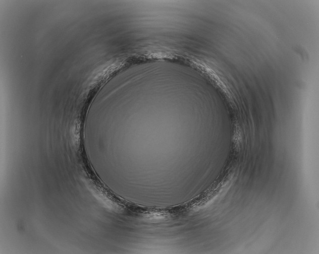 X0000112100402200908251154