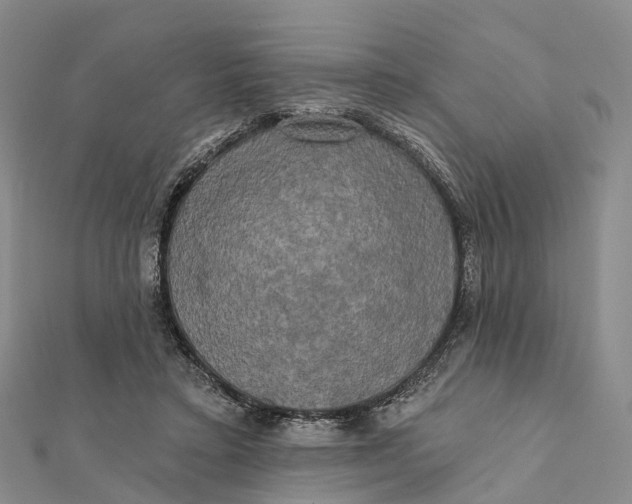 X0000112100403200908251154