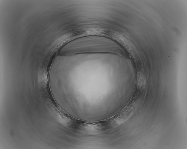 X0000112100405200908251154