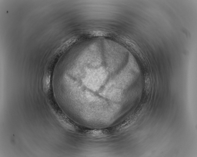 X0000112100406200908251154