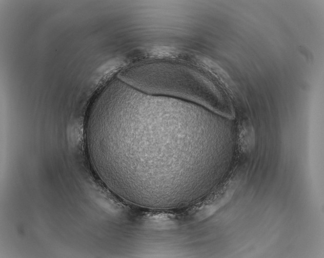 X0000112100407200908251154