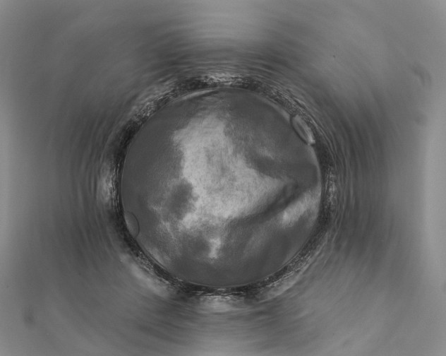 X0000112100408200908251154