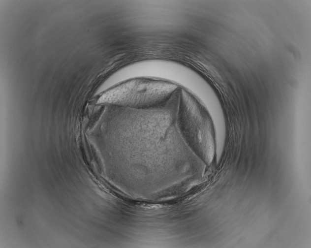 X0000112100409200908251154