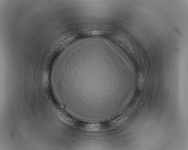 X0000112100410200908251154