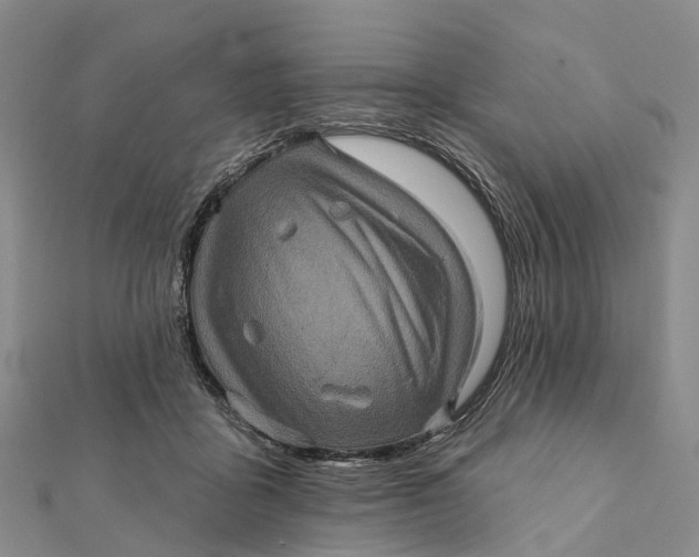 X0000112100411200908251154