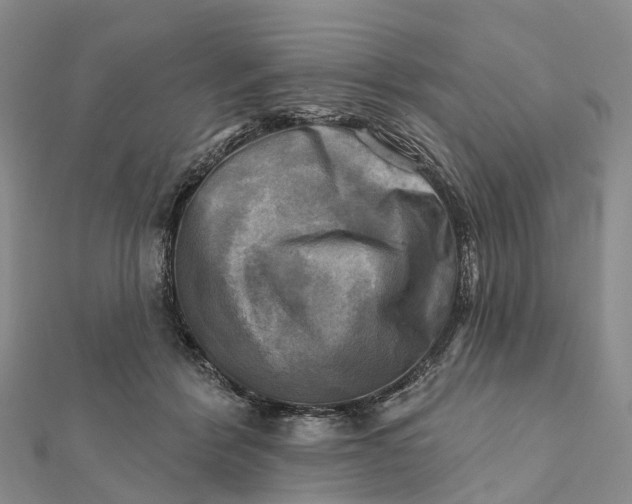 X0000112100412200908251154