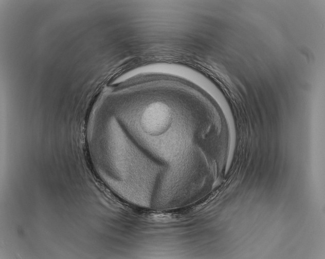 X0000112100413200908251154