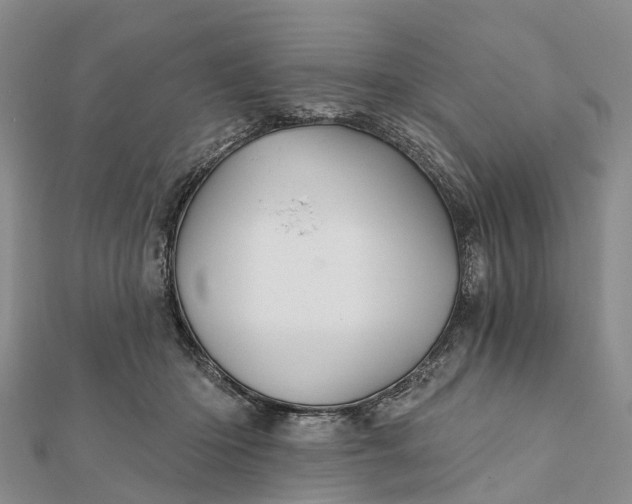 X0000112100414200908251154