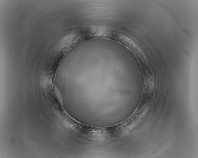 X0000112100415200908251154