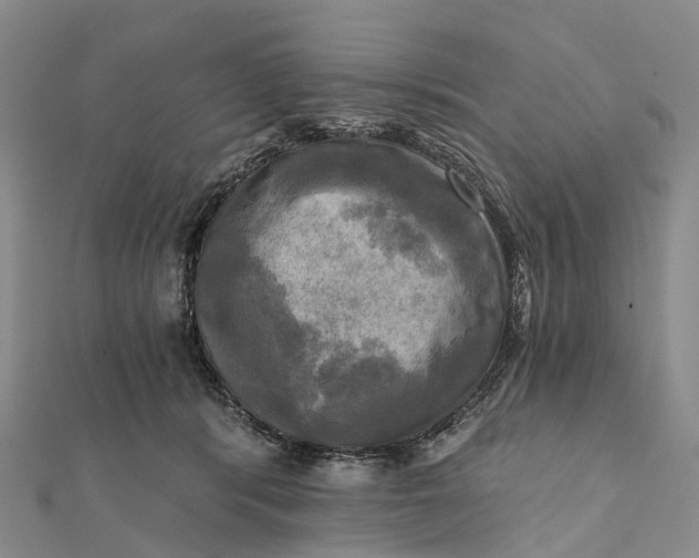 X0000112100416200908251154