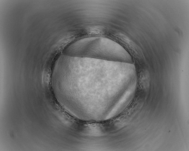 X0000112100417200908251154