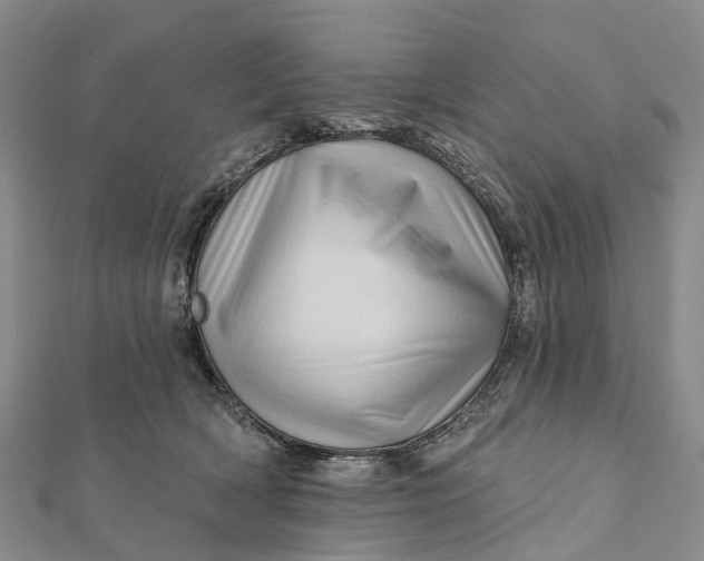 X0000112100418200908251154