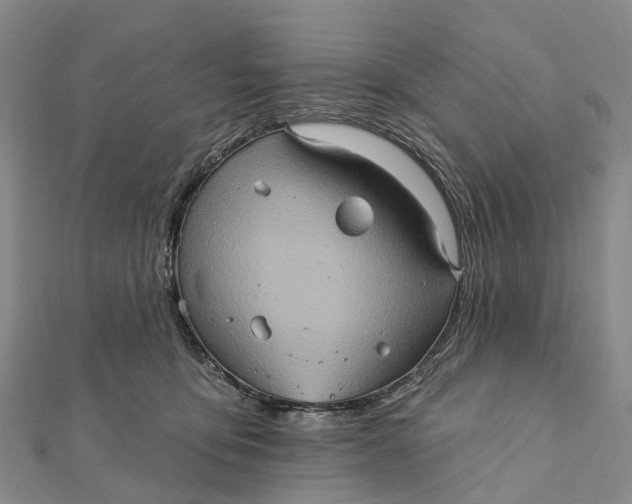 X0000112100419200908251154