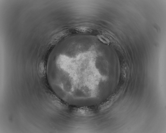 X0000112100420200908251154