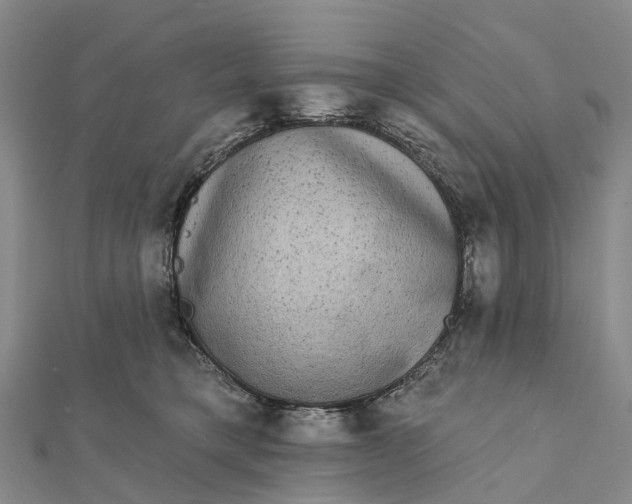 X0000112100421200908251154