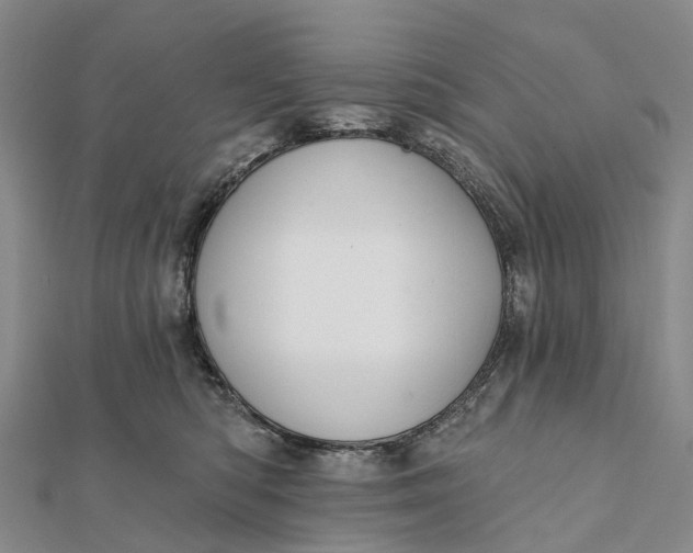 X0000112100422200908251154