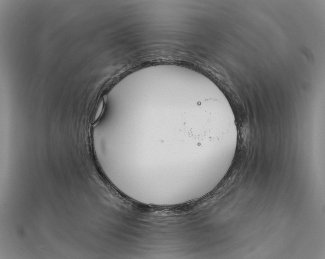 X0000112100423200908251154