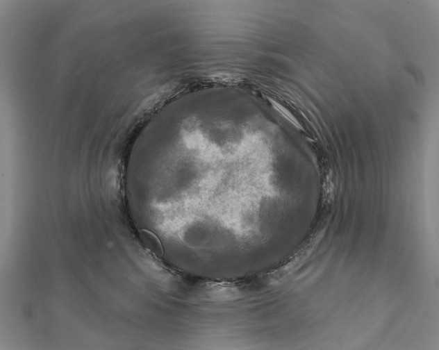 X0000112100424200908251154