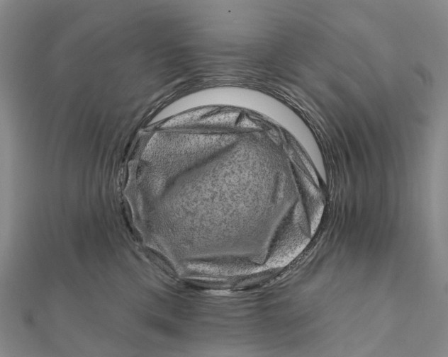 X0000112100425200908251154